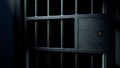 Jail Cell Door And Welded Iron Bars Royalty Free Stock Photo