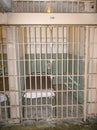 Jail cells inside the Alcatraz Prison Royalty Free Stock Photo