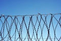 Jail fence top with barbed wire, winter sky background