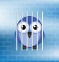 Jailbird Royalty Free Stock Photo