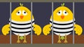 Jailed birds Royalty Free Stock Photo