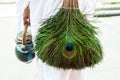 Jain peacock feather broom