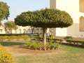 City Palace, Jantar Mantar, Albert Hall, Jaipur, India