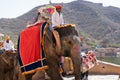 Shot of line of elephants covered in red cloth with tourists riding on them to the landmark hill fort of Amber in Jaipur