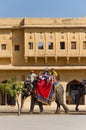 Jaipur, India - December 29, 2014: Decorated elephant carries to Amber Fort in Jaipur.