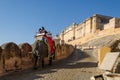 Jaipur, India - December 29, 2014: Decorated elephant carries to Amber Fort