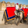 Amber Palace, Jaipur, Rajasthan state, India