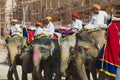 Elephant drivers wait for for passengers at the street in Jaipur, India.