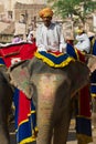 Elephant drivers wait for for passengers at the street in Jaipur, India.