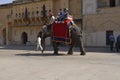 JAIPUR, INDIA - Tourists on Elephant ride in Amber Fort