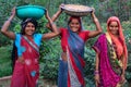 JAISALMER, INDIA - CIRCA NOVEMBER 2017: Indian women in traditional clothing Royalty Free Stock Photo