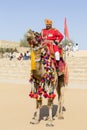 Camel and indian men wearing traditional Rajasthani dress participate in Mr. Desert contest as part of Desert Festival in Jaisalme