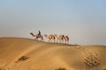 Indian cameleer with camels in Thar desert. Jaisalmer. India