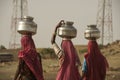 Rajasthani women carrying water jars in the Thar Desert