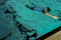 An unidentified person swim in swimming pool.