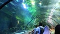 Visitors observe fish in a large aquarium at Seaworld, Ancol. Fish and coral like habitat in