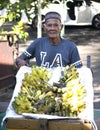 portriat asian senior man traveling banana seller Royalty Free Stock Photo