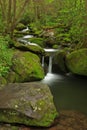 Jake Creek Cascade Royalty Free Stock Photo