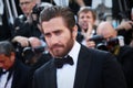 Jake Gyllenhaal Royalty Free Stock Photo