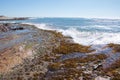 Jake's Point Beach Reef Royalty Free Stock Photo