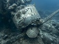 Jake Seaplane Wreck Sits on Ocean Floor Close Up Royalty Free Stock Photo