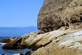 Jalama Beach Lompoc California