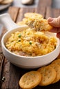 Jalapeno cheese dip with crackers Royalty Free Stock Photo