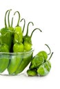 Jalapeno peppers in bowl Royalty Free Stock Photo