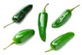 jalapeno peppers isolated on white background. Green chili pepper. Capsicum annuum. top view Royalty Free Stock Photo