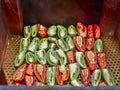 Jalapeno peppers on a smokehouse grill, during cold smoking with oak chips.