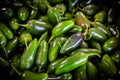 Jalapeno sweet and chili peppers Capsicum annuum ` Royalty Free Stock Photo