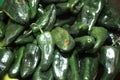 JalapeÃÂ±os