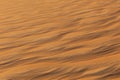 Dunes in JalapÃÂ£o State Park near Mateiros City. Royalty Free Stock Photo