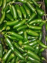 Jalepeno peppers Royalty Free Stock Photo