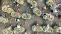 Pineapple market in Bangladesh