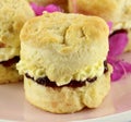 Jam And Cream Scone Royalty Free Stock Photo