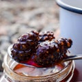 Jam from fir cones in a jar on the background of the lake.  Home-made jam from pine cones. Selective focus. Royalty Free Stock Photo