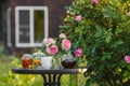 Jam in glass jar. Romantic dinner in the garden under a rose bush. Royalty Free Stock Photo