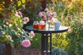 Jam in glass jar. Romantic dinner in the garden under a rose bush. Royalty Free Stock Photo