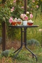 Jam in glass jar. Romantic dinner in the garden under a rose bush. Summer time. Vertical frame Royalty Free Stock Photo
