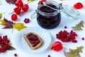 Jam from a guelder-rose Royalty Free Stock Photo