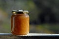 Jam jar in the Royalty Free Stock Photo