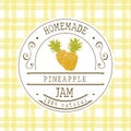 Jam label design template. for pineapple dessert product with hand drawn sketched fruit and background. Doodle vector pineapple il Royalty Free Stock Photo