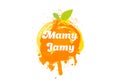 Jam logo and emblem. Fresh fruits and splashes.