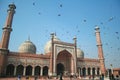 Jama masjid Royalty Free Stock Photo