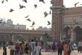 Jama Masjid, court and birds Royalty Free Stock Photo