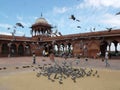 Pigeons fill the large interior plaza of the Jama Masjid Mosque in New Delhi, India