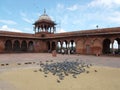 Pigeons in the great square inside the Jama Masjid Mosque in New Delhi, India