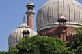 Jama Masjid, New Delhi, India. Architectural detail Royalty Free Stock Photo