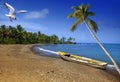 Jamaica. A boat on sandy coast of a bay